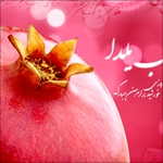 تخفیف خدمات به مناسبت شب یلدا